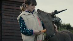 Capture-d’écran-2021-11-24-154930-236x132