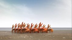 Capture-d’écran-2021-11-26-144008-236x132