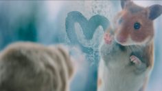 Capture-d’écran-2021-12-08-111626-236x132