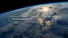 Capture-d’écran-2021-12-14-134034-236x132