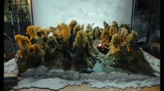 Capture-d’écran-2021-12-15-173734-236x132