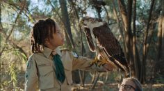 Capture-d’écran-2022-01-07-150237-236x132