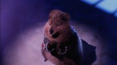 Capture-d’écran-2022-01-25-114759-236x132