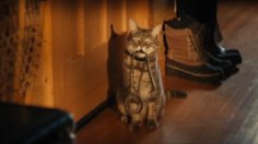 Capture-d’écran-2022-02-02-114756-236x132