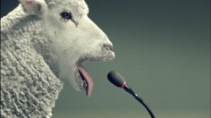 Capture-d’écran-2022-02-02-152059-236x132