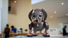 Capture-d’écran-2022-02-08-153827-236x132