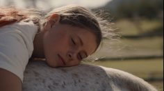 Capture-d’écran-2022-03-25-163849-236x132