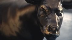 Capture-d’écran-2022-04-05-162054-236x132