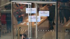 Capture-d’écran-2022-04-22-105813-236x132