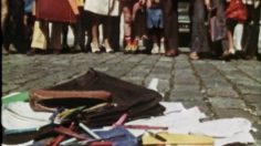 Capture-d’écran-2022-05-19-144018-236x132