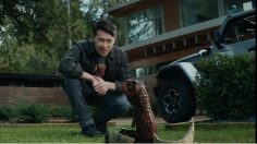 Capture-d’écran-2022-06-02-104516-236x132