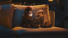 Capture-d’écran-2022-06-03-140202-236x132