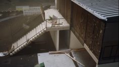 Capture-d’écran-2022-06-27-142320-236x132