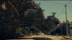 Capture-d’écran-2022-08-22-174344-236x132