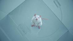 Capture-d’écran-2022-09-02-114140-236x132