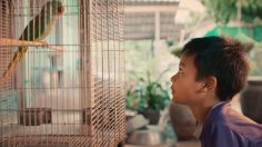 Capture-d’écran-2022-09-02-163126-236x132