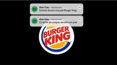 Capture-d’écran-2022-09-19-154144-236x132