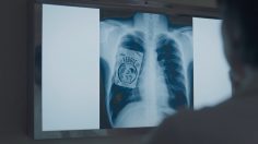 Capture-d’écran-2022-10-05-151226-236x132