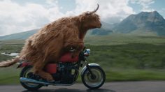 Capture-d’écran-2022-10-07-141903-236x132