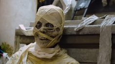 Capture-d’écran-2022-10-18-120029-236x132