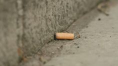 Capture-d’écran-2022-11-22-112647-236x132