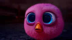 Capture-d’écran-2022-11-22-173634-236x132