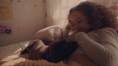 Capture-d’écran-2023-02-10-173246-236x132