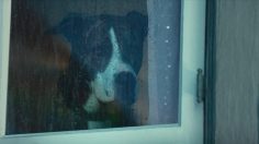 Capture-d’écran-2023-02-14-105710-236x132