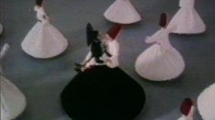 Capture-d’écran-2023-03-30-165409-236x132