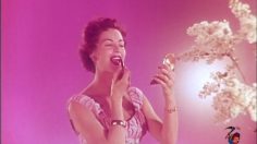 Capture-d’écran-2023-04-26-105535-236x132