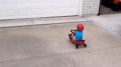 Capture-d’écran-2023-05-16-154915-236x132