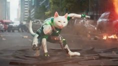 Capture-d’écran-2023-05-26-144503-236x132