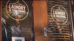 Capture-d’écran-2023-06-01-145257-236x132