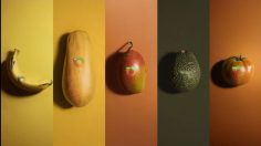 Capture-d’écran-2023-06-16-104418-236x132