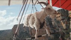 Capture-d’écran-2023-07-07-152225-236x132