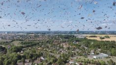 Capture-d’écran-2023-08-24-172728-236x132