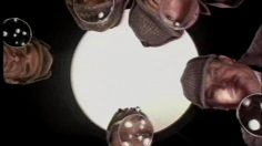 Capture-d’écran-2023-09-21-163631-236x132