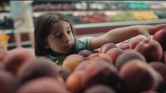 Capture-d’écran-2023-09-27-105438-236x132