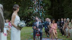 Capture-d’écran-2023-10-24-110128-236x132