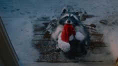 Capture-d’écran-2023-11-02-155922-236x132