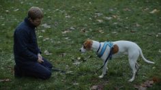 Capture-d’écran-2024-02-26-115815-236x132