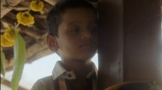 Capture-d’écran-2024-05-23-172319-236x132