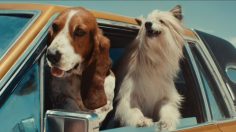 Capture-décran-2024-06-11-103827-236x132