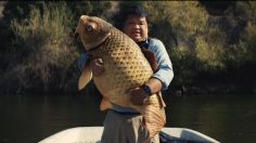 Capture-décran-2024-06-14-121344-236x132