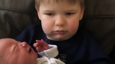 Capture-décran-2024-06-28-101140-236x132