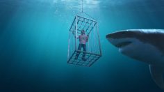 Capture-d’écran-2024-07-18-120506-236x132