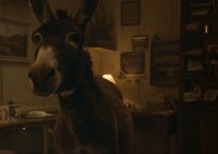 Capture-décran-2024-11-12-120202-201x142