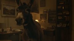 Capture-décran-2024-11-12-120202-236x132