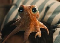 Capture-décran-2024-11-12-161920-201x142