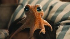 Capture-décran-2024-11-12-161920-236x132